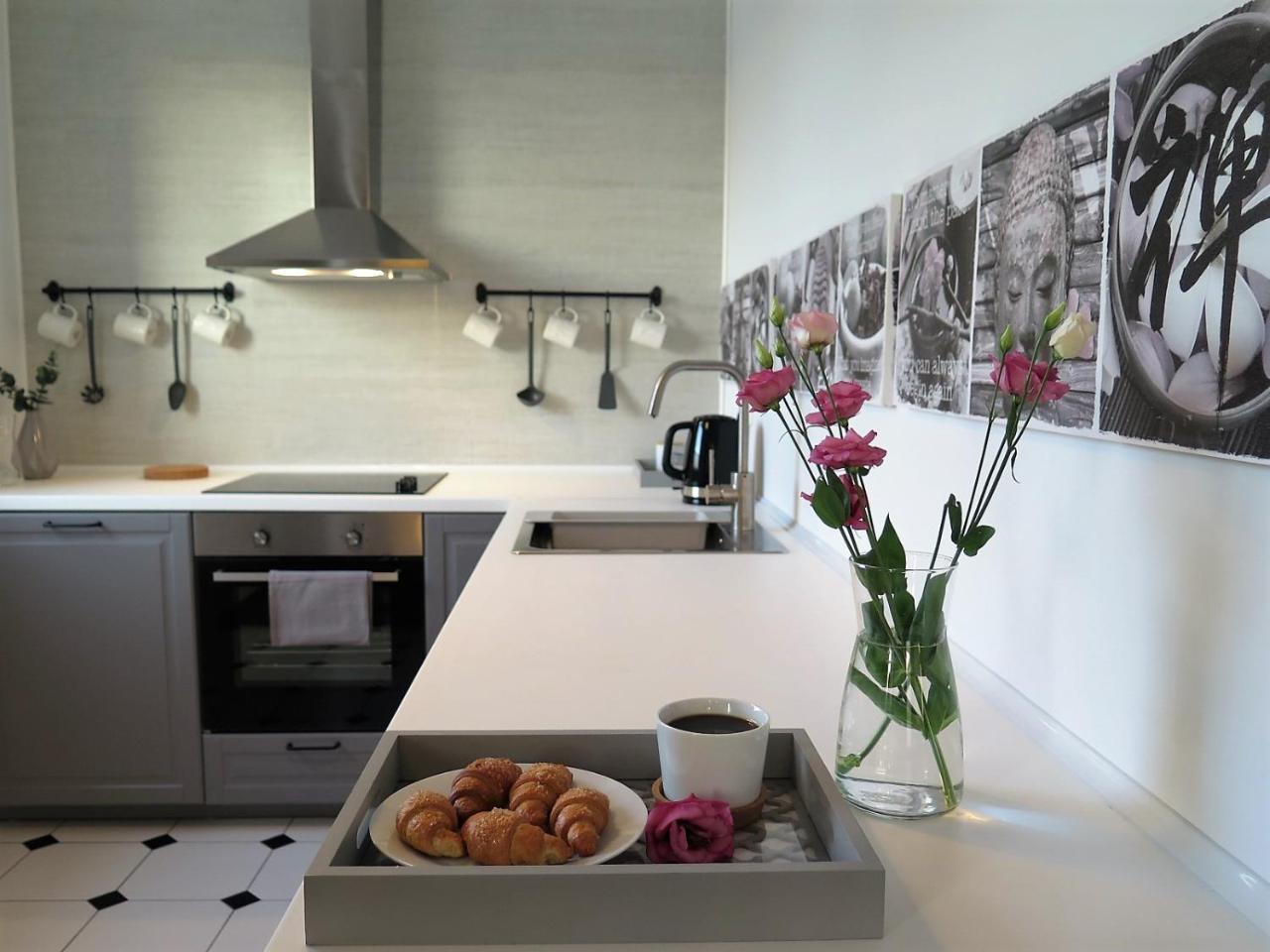 Apartament Harmonia Z Klimatyzacja Apartment Torun